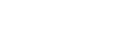 Xinix