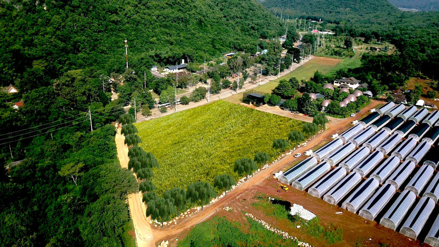 Xinix and TVA sign MoU on Sustainability Pilot in Thailand